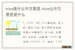 nice是什么中文意思 nice么中文意思是什么