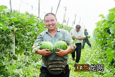 一般耕地可以种西瓜吗