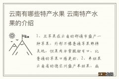 云南有哪些特产水果 云南特产水果的介绍