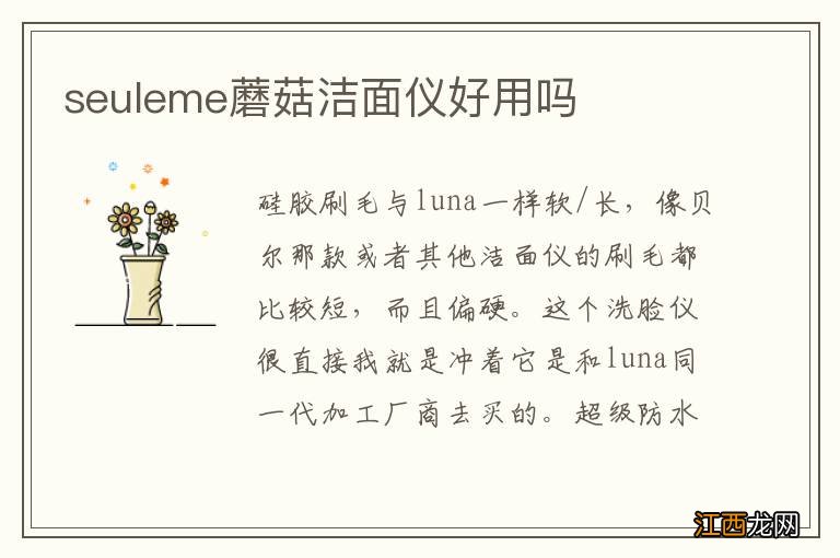 seuleme蘑菇洁面仪好用吗