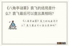 《八角亭谜雾》袁飞的结局是什么？袁飞最后可以查出真相吗？