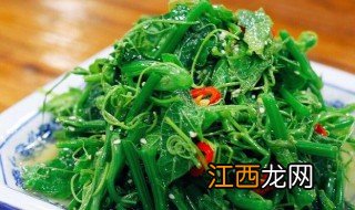 龙须菜的功效与作用 龙须菜的功效与作用简单介绍