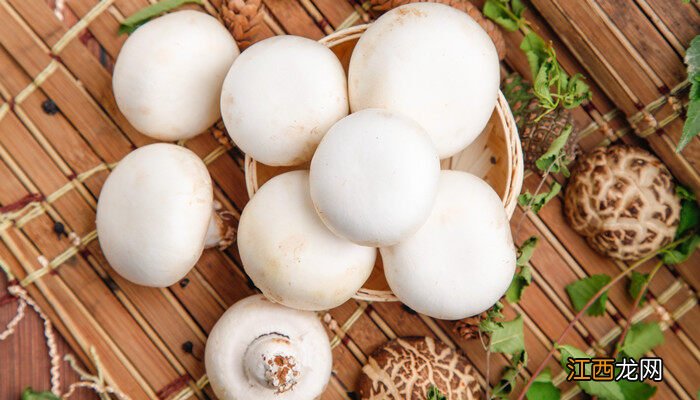 蘑菇种植方法全部过程 蘑菇种植方法