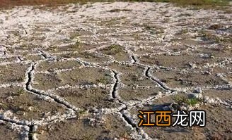 哪种氮肥最易引起土壤板结，土壤板结如何快速改良