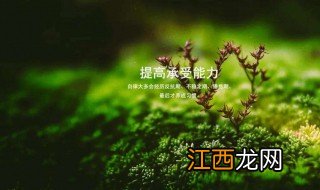 九月加油励志句子 有哪些句子比较好