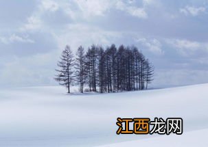 2023小雪节气有雨雪冬天会冷吗-小雪节气有雨雪天气吗