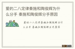 爱的二八定律秦施和陶俊辉为什么分手 秦施和陶俊辉分手原因