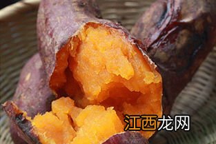 烤红薯用什么品种红薯最好-哪个品种的红薯烤着好吃