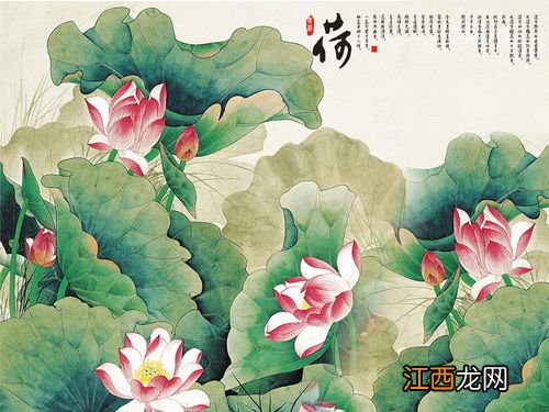 迎门墙壁画用荷花可以吗-迎门墙壁画什么样的风水好