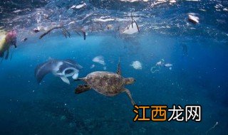 海洋最深处有多少米 海洋深度是怎么解释的