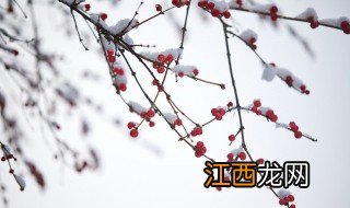 2020年表达小雪快乐的祝福语 怎么祝福小雪快乐