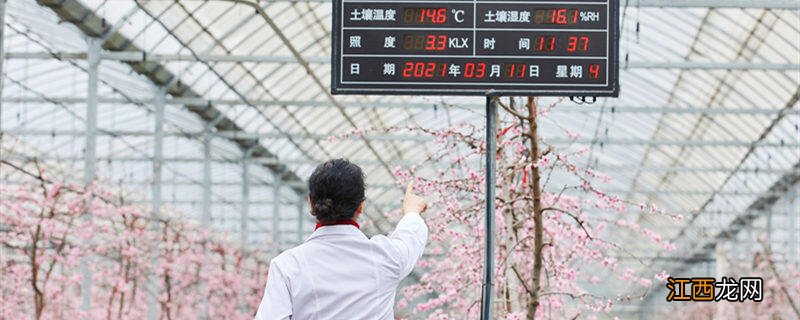 农业信息整理是指什么 农业信息整理是指