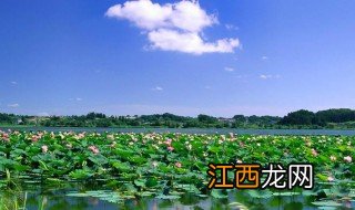 白洋淀景区 白洋淀景区的简介