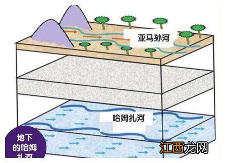 全世界河上都有桥，却为什么没有一座桥，敢于跨越亚马逊河？