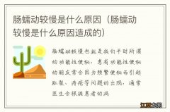 肠蠕动较慢是什么原因造成的 肠蠕动较慢是什么原因