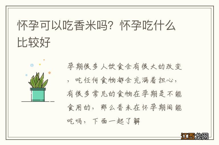 怀孕可以吃香米吗？怀孕吃什么比较好