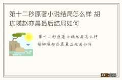 第十二秒原著小说结局怎么样 胡珈瑛赵亦晨最后结局如何