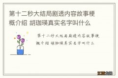 第十二秒大结局剧透内容故事梗概介绍 胡珈瑛真实名字叫什么