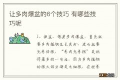 让多肉爆盆的6个技巧 有哪些技巧呢