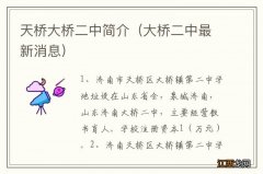 大桥二中最新消息 天桥大桥二中简介