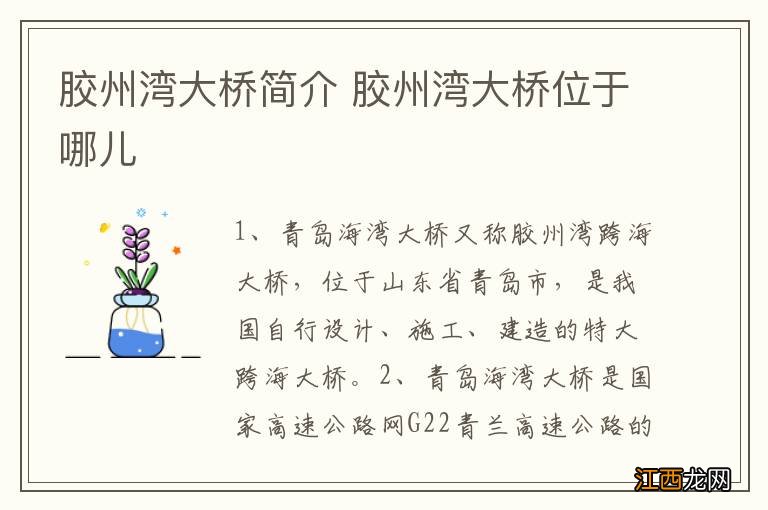 胶州湾大橋简介 胶州湾大橋位于哪儿