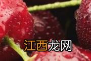 一个二十斤的菠萝蜜能出几斤肉 怎么挑菠萝蜜出果率高