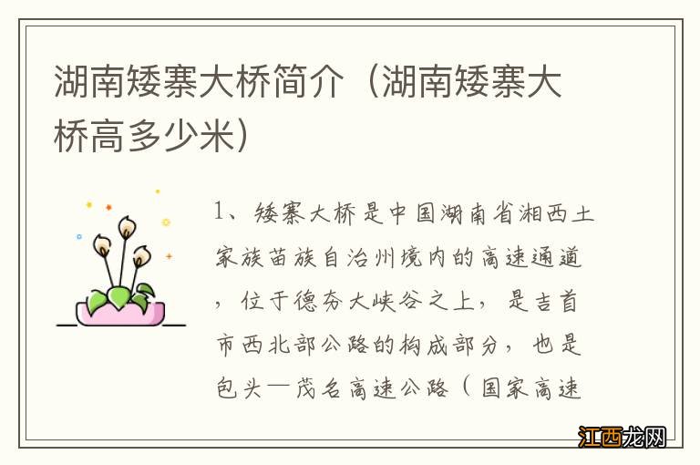 湖南矮寨大橋高多少米 湖南矮寨大橋简介
