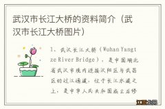 武汉市长江大桥图片 武汉市长江大桥的资料简介