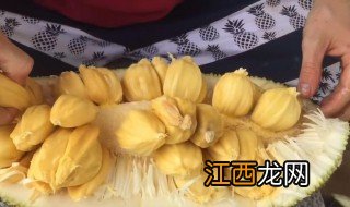 菠萝蜜的核的功效与作用 菠萝蜜的核有什么功效