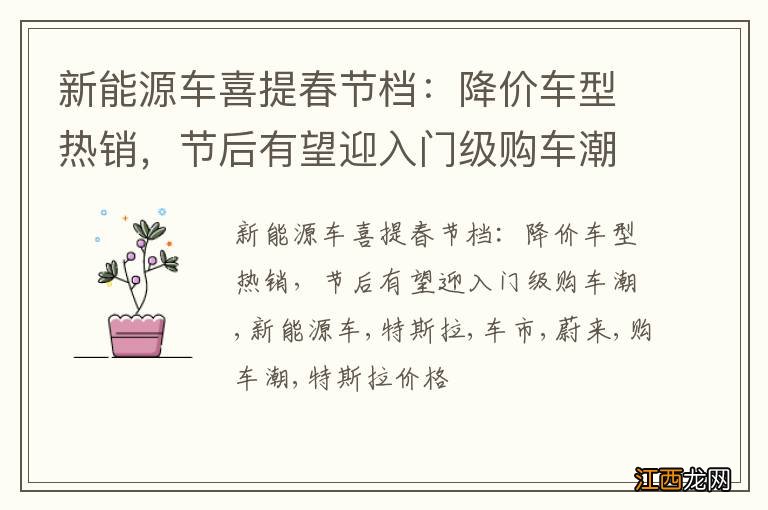 新能源车喜提春节档：降价车型热销，节后有望迎入门级购车潮