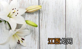 百合花长什么样 百合花的样子介绍