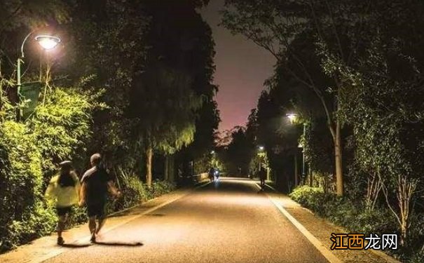 如何夜跑减肥？夜跑减肥的正确方式是什么？