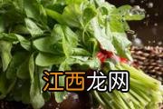 老公鸡汤的功效与作用 老公鸡汤的食用方式和注意事项