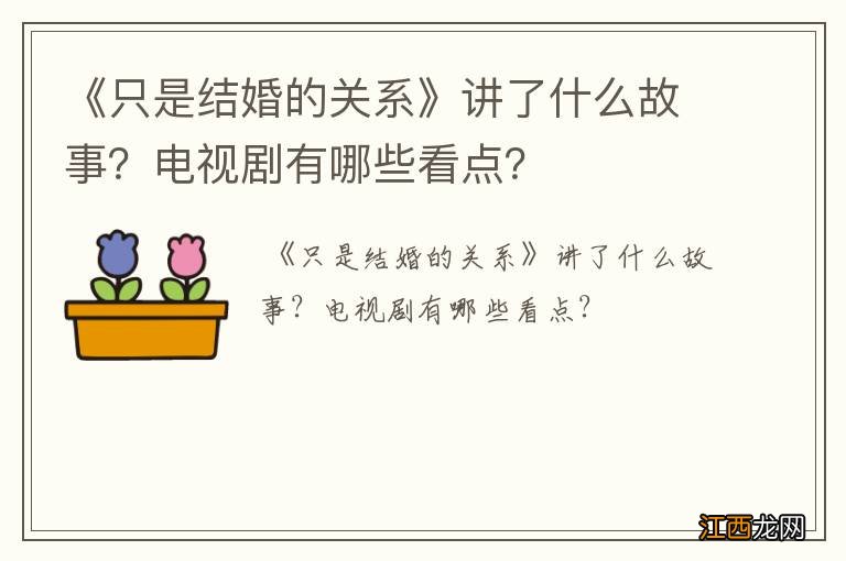 《只是结婚的关系》讲了什么故事？电视剧有哪些看点？