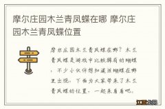 摩尔庄园木兰青凤蝶在哪 摩尔庄园木兰青凤蝶位置