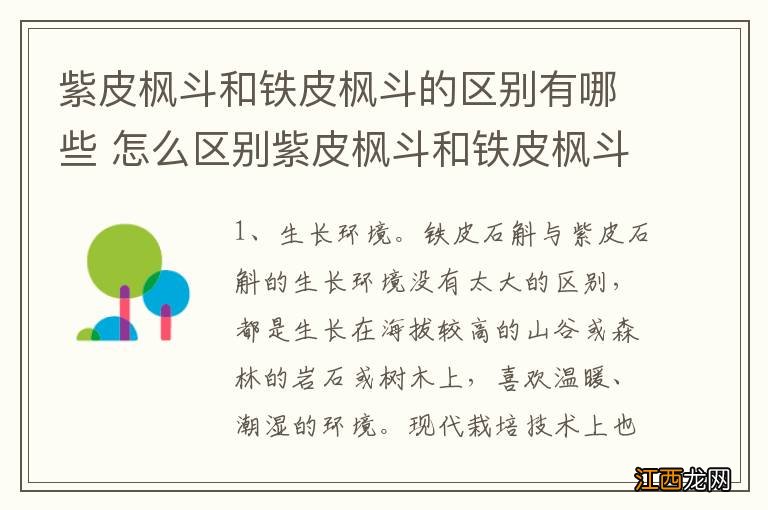 紫皮枫斗和铁皮枫斗的区别有哪些 怎么区别紫皮枫斗和铁皮枫斗