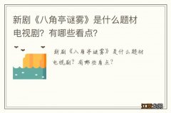 新剧《八角亭谜雾》是什么题材电视剧？有哪些看点？