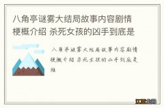 八角亭谜雾大结局故事内容剧情梗概介绍 杀死女孩的凶手到底是谁