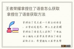 王者荣耀拿捏住了语音怎么获取 拿捏住了语音获取方法