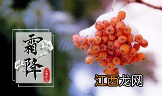 霜降节气祝福语 有什么霜降节气祝福语