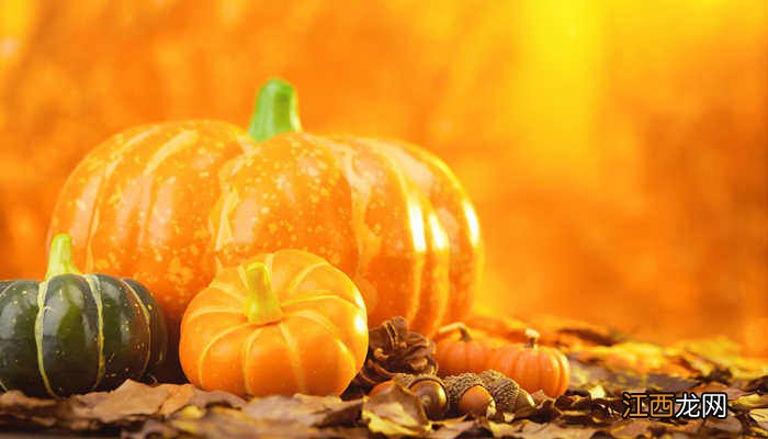 南瓜不结果什么原因 南瓜不结果是什么肥料多了