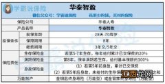 华泰人寿开门红智盈年金险万能账户哪款？