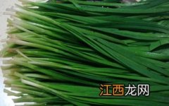 韭菜什么季节吃