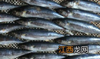 鲅鱼出产地 鲅鱼原产地是哪