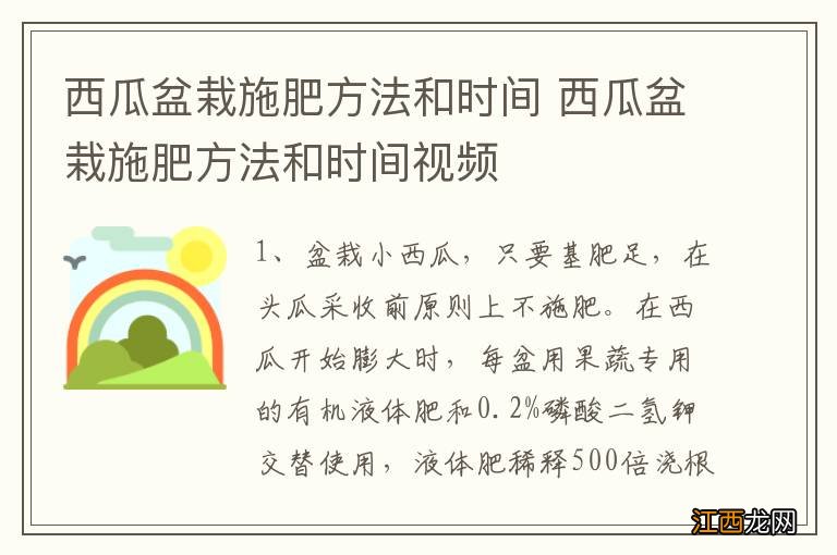 西瓜盆栽施肥方法和时间 西瓜盆栽施肥方法和时间视频