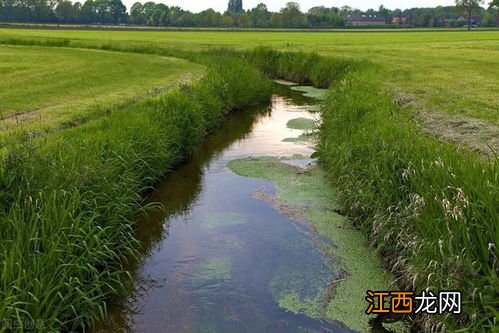 农田灌溉水标准