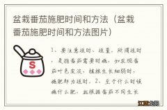 盆栽番茄施肥时间和方法图片 盆栽番茄施肥时间和方法