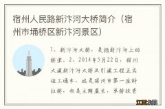 宿州市埇桥区新汴河景区 宿州人民路新汴河大桥简介