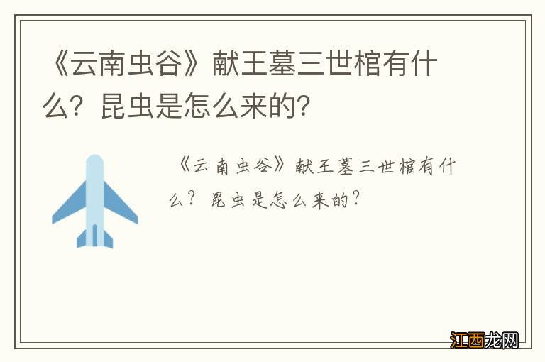 《云南虫谷》献王墓三世棺有什么？昆虫是怎么来的？