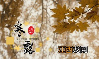 寒露节气诗句 二十四节气寒露诗句